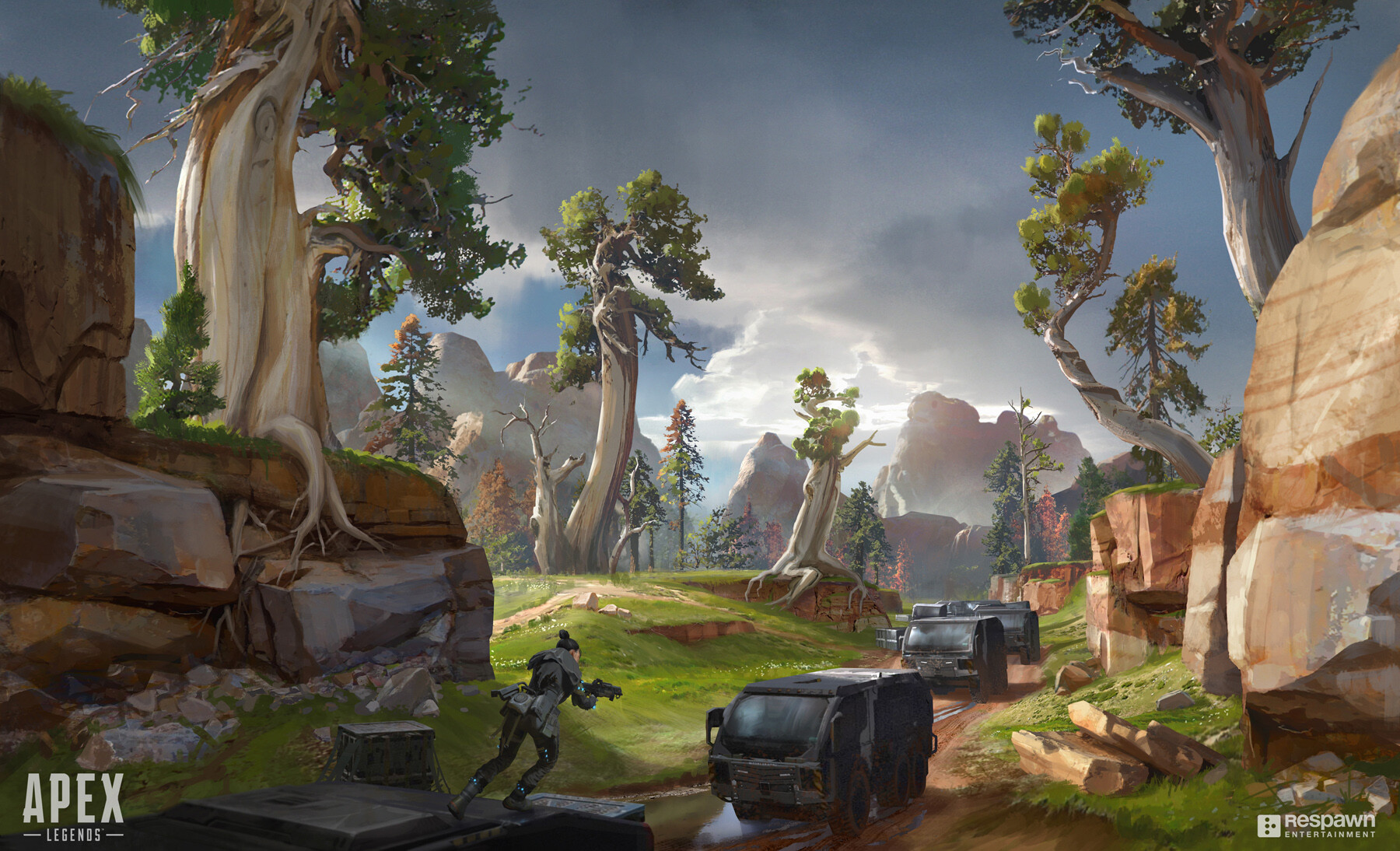 个体的成长 个体的成长